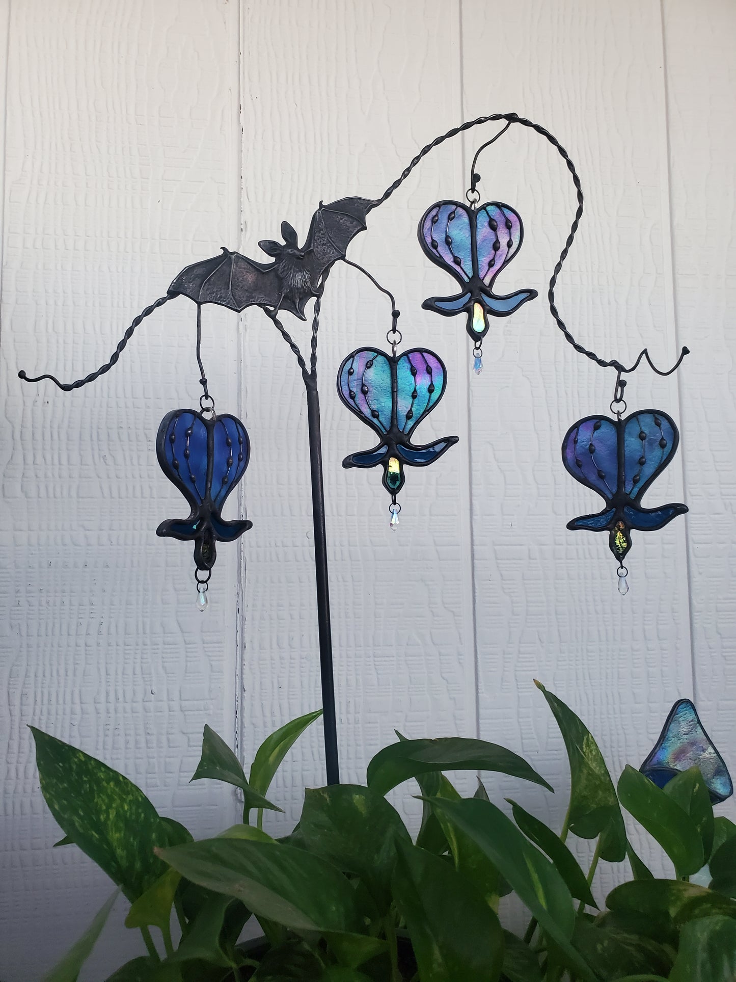 bleeding heart vine plant stake