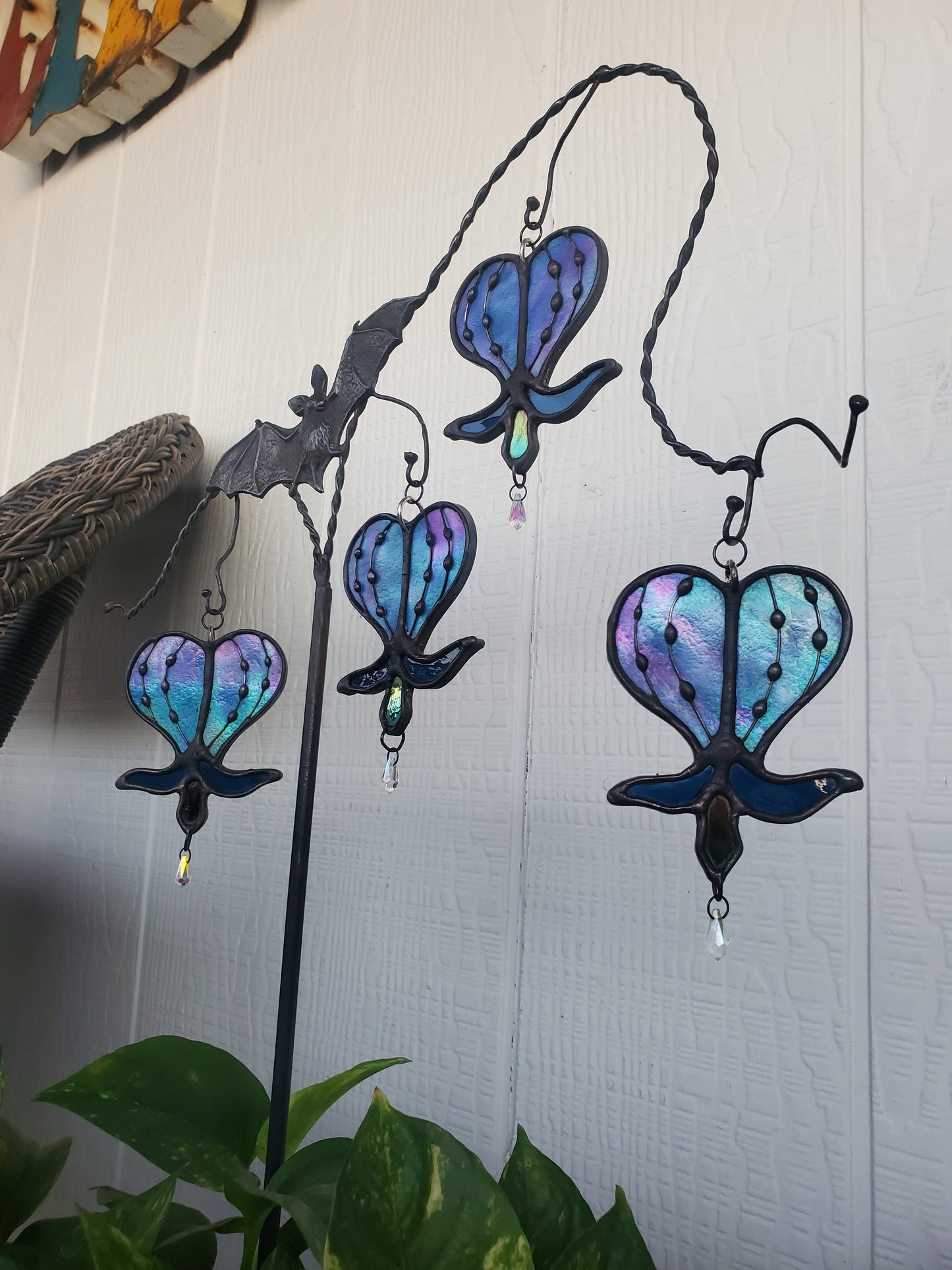bleeding heart vine plant stake