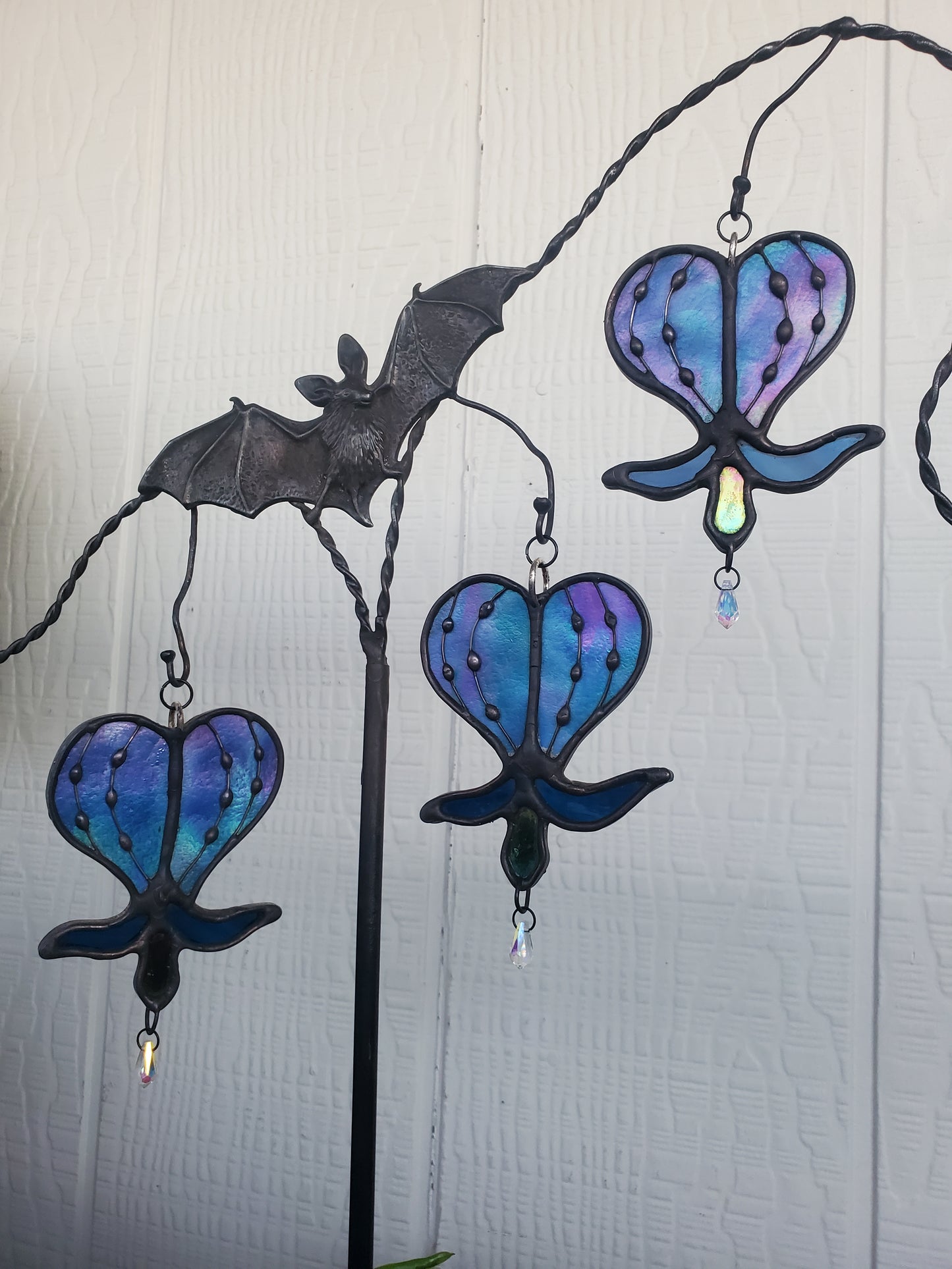 bleeding heart vine plant stake