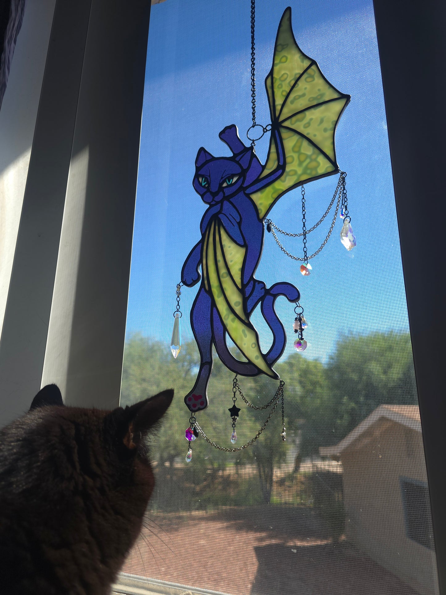 Bean | Familiar